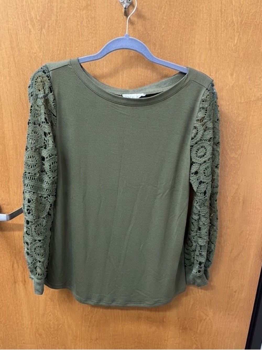 Amaryllis sage green decorative sleeve top
